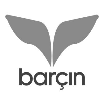 barÇin spor